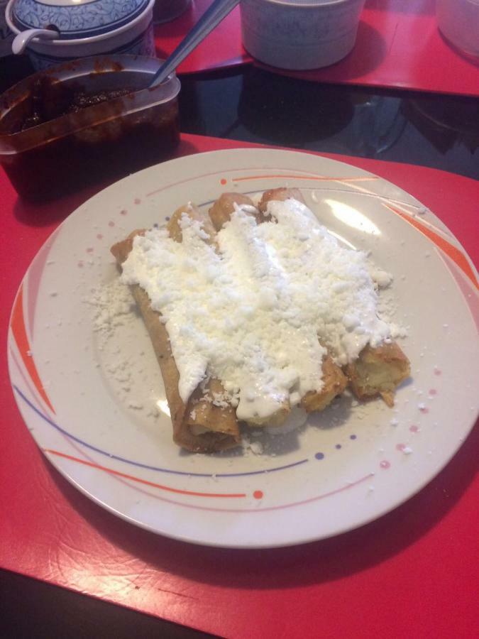 B&B Mexico Roma Norte Eksteriør billede